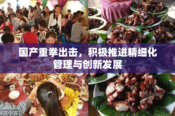 国产重拳出击，积极推进精细化管理与创新发展