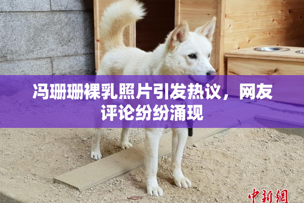 冯珊珊裸乳照片引发热议，网友评论纷纷涌现