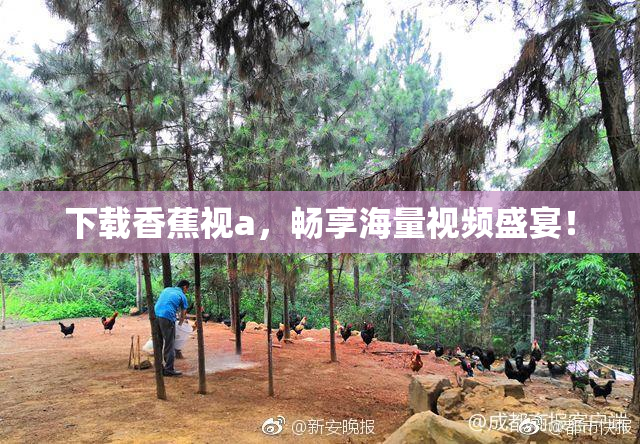 下载香蕉视a，畅享海量视频盛宴！