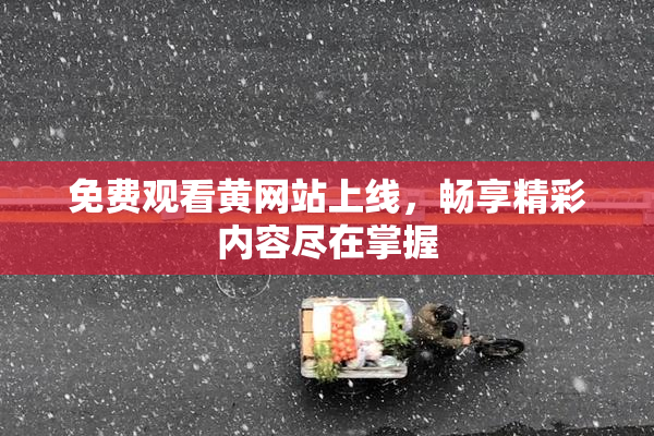 免费观看黄网站上线，畅享精彩内容尽在掌握