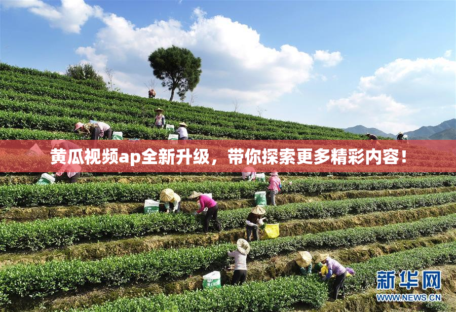 黄瓜视频ap全新升级，带你探索更多精彩内容！