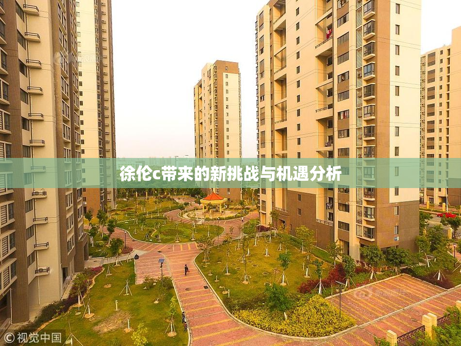 徐伦c带来的新挑战与机遇分析