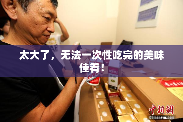 太大了，无法一次性吃完的美味佳肴！