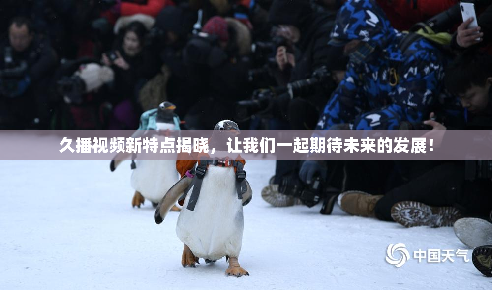 久播视频新特点揭晓，让我们一起期待未来的发展！
