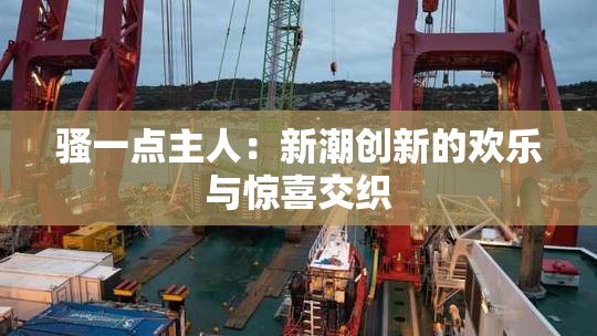 骚一点主人：新潮创新的欢乐与惊喜交织