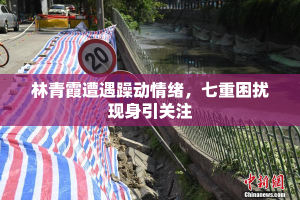 林青霞遭遇躁动情绪，七重困扰现身引关注