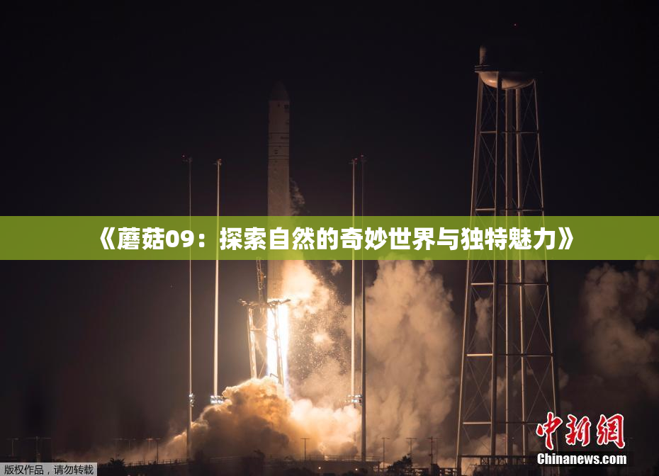 《蘑菇09：探索自然的奇妙世界与独特魅力》