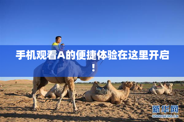 手机观看A的便捷体验在这里开启！