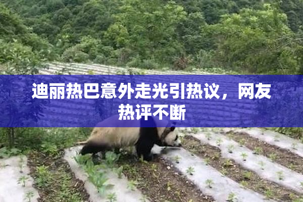 迪丽热巴意外走光引热议，网友热评不断