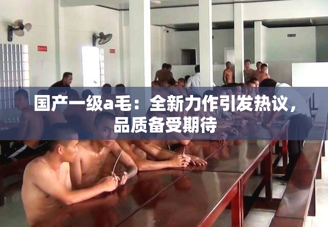国产一级a毛：全新力作引发热议，品质备受期待