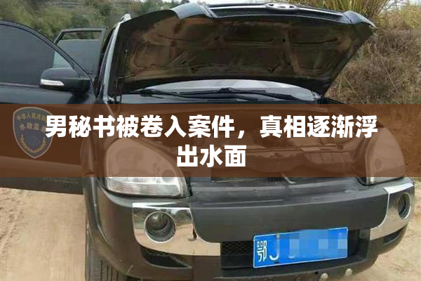 男秘书被卷入案件，真相逐渐浮出水面
