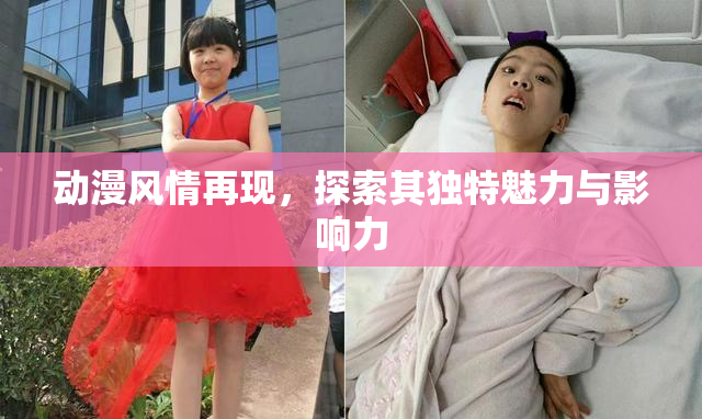 动漫风情再现，探索其独特魅力与影响力