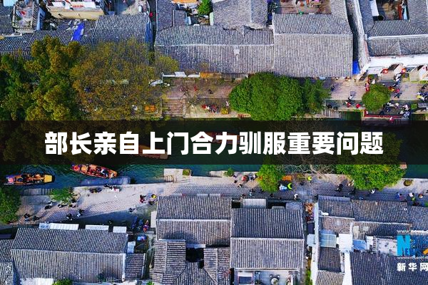 部长亲自上门合力驯服重要问题