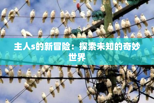 主人s的新冒险：探索未知的奇妙世界