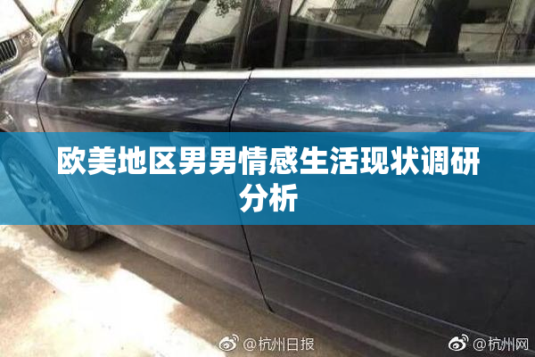欧美地区男男情感生活现状调研分析