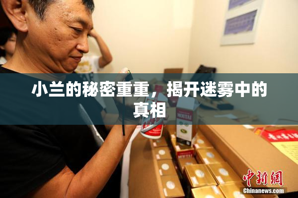 小兰的秘密重重，揭开迷雾中的真相