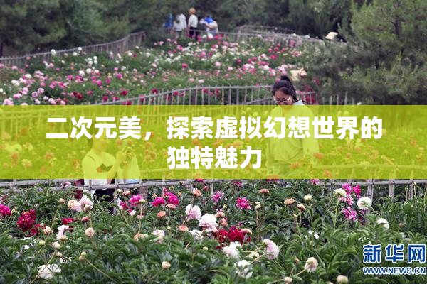 二次元美，探索虚拟幻想世界的独特魅力