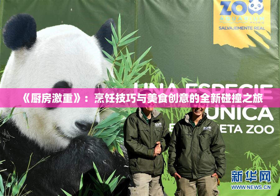 《厨房激重》：烹饪技巧与美食创意的全新碰撞之旅