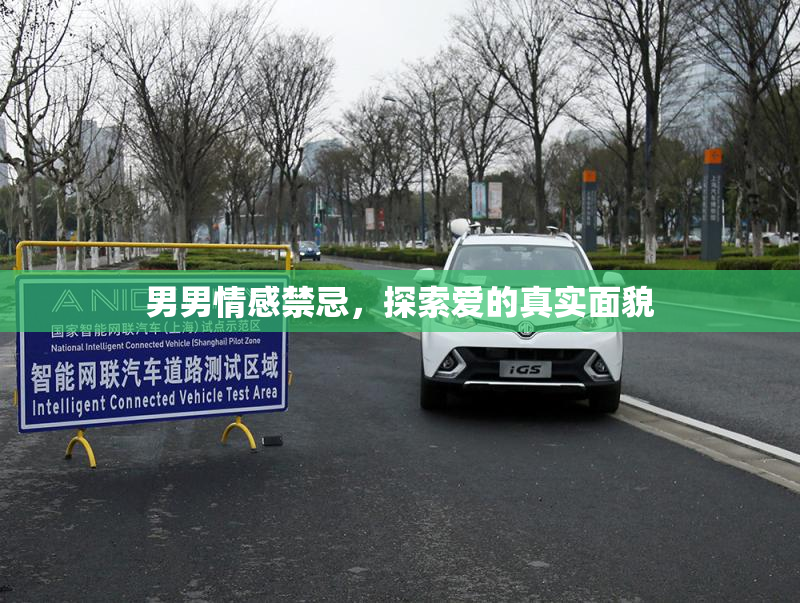 男男情感禁忌，探索爱的真实面貌