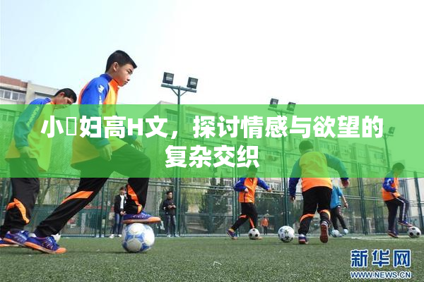 小婬妇高H文，探讨情感与欲望的复杂交织