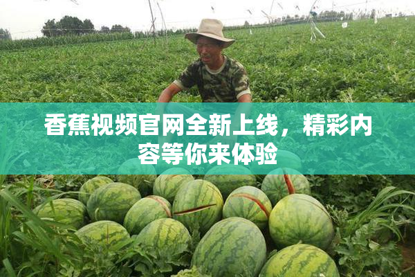 香蕉视频官网全新上线，精彩内容等你来体验