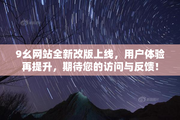 9幺网站全新改版上线，用户体验再提升，期待您的访问与反馈！