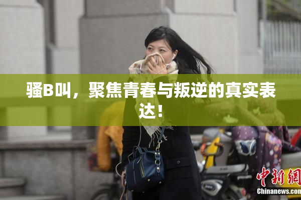 骚B叫，聚焦青春与叛逆的真实表达！
