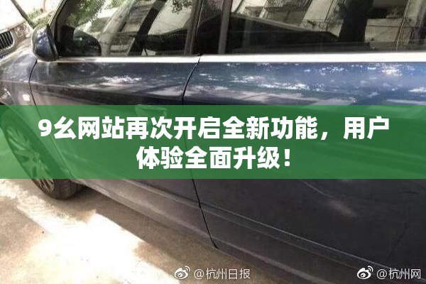 9幺网站再次开启全新功能，用户体验全面升级！