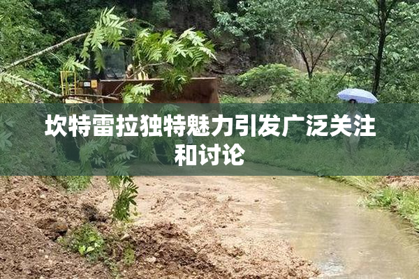 坎特雷拉独特魅力引发广泛关注和讨论