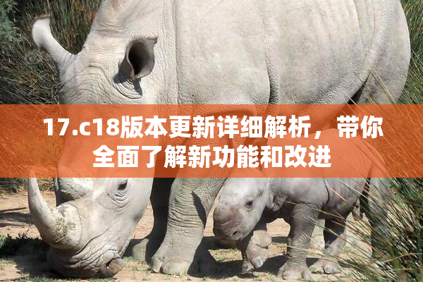 17.c18版本更新详细解析，带你全面了解新功能和改进