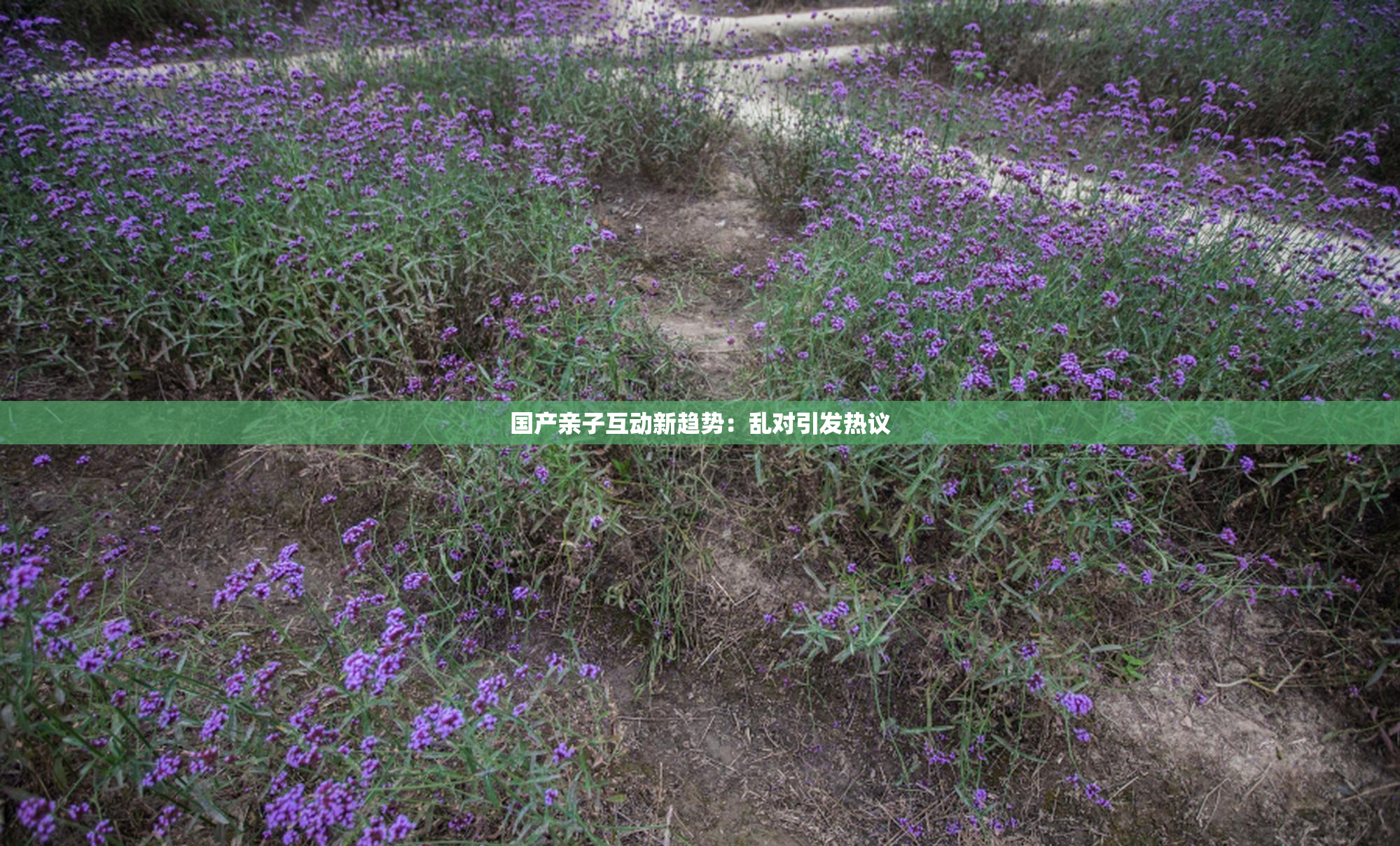 国产亲子互动新趋势：乱对引发热议