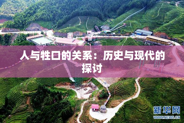 人与牲口的关系：历史与现代的探讨