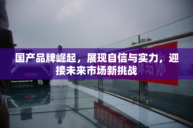 国产品牌崛起，展现自信与实力，迎接未来市场新挑战