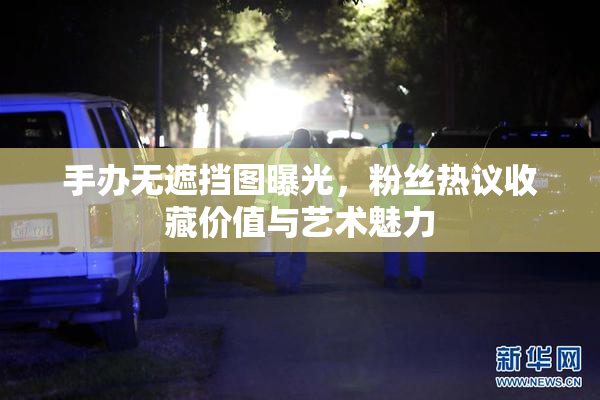 手办无遮挡图曝光，粉丝热议收藏价值与艺术魅力