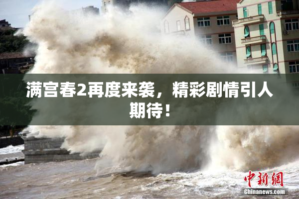 满宫春2再度来袭，精彩剧情引人期待！