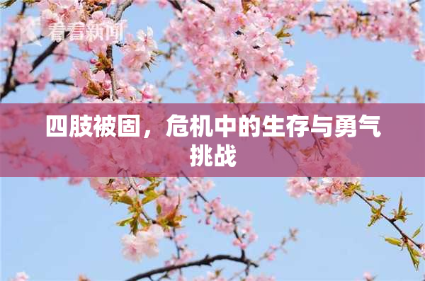 四肢被固，危机中的生存与勇气挑战