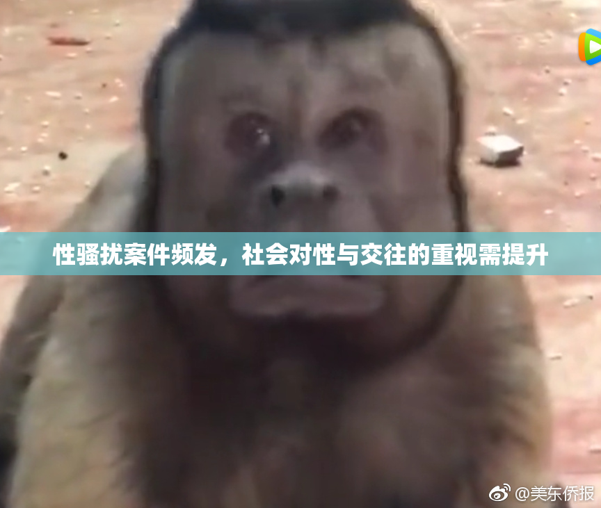 性骚扰案件频发，社会对性与交往的重视需提升