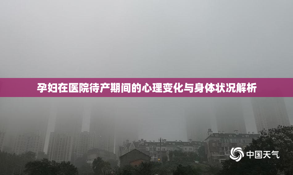 孕妇在医院待产期间的心理变化与身体状况解析