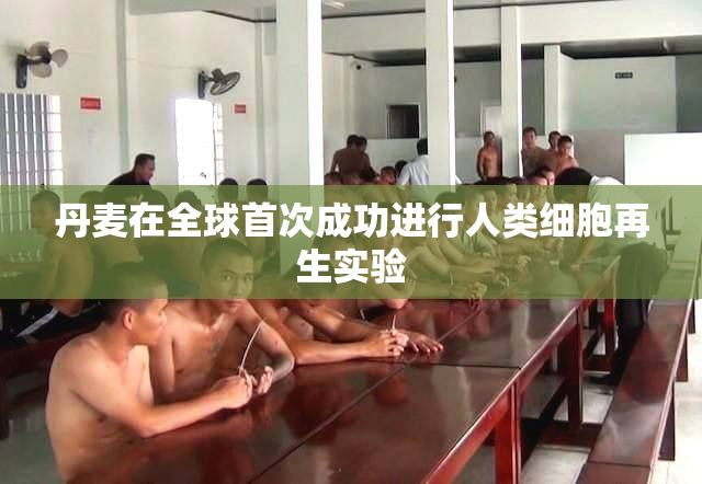 丹麦在全球首次成功进行人类细胞再生实验