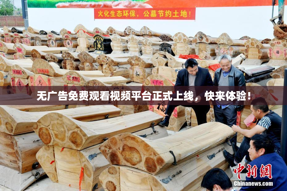 无广告免费观看视频平台正式上线，快来体验！