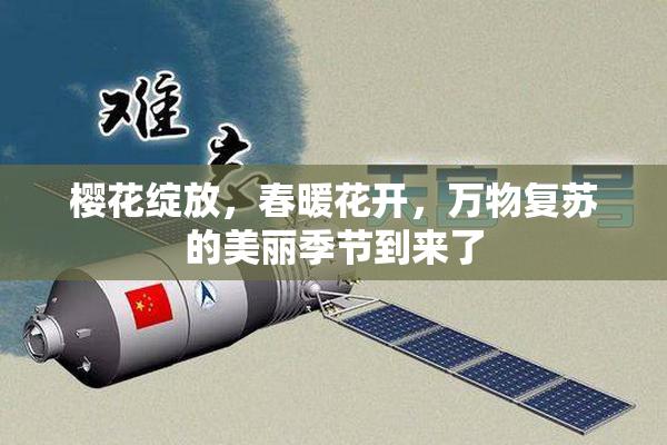 樱花绽放，春暖花开，万物复苏的美丽季节到来了