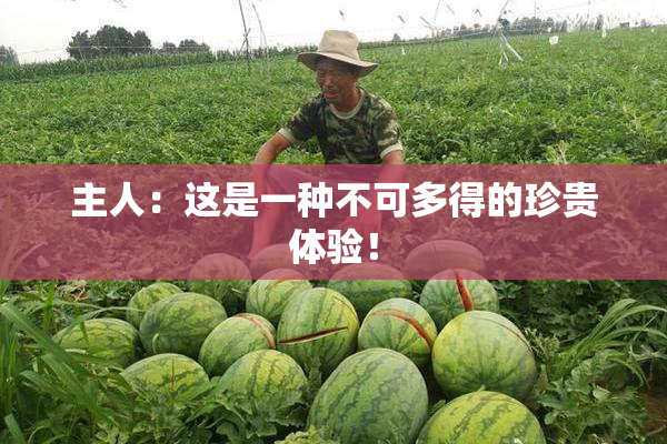 主人：这是一种不可多得的珍贵体验！