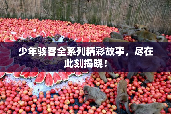 少年骇客全系列精彩故事，尽在此刻揭晓！