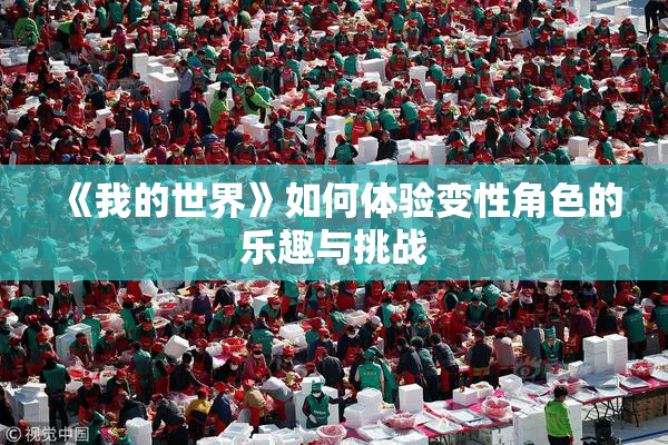 《我的世界》如何体验变性角色的乐趣与挑战