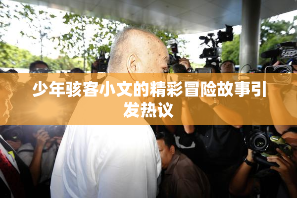 少年骇客小文的精彩冒险故事引发热议