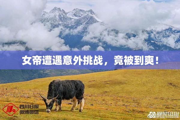 女帝遭遇意外挑战，竟被到爽！
