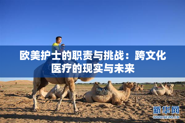 欧美护士的职责与挑战：跨文化医疗的现实与未来