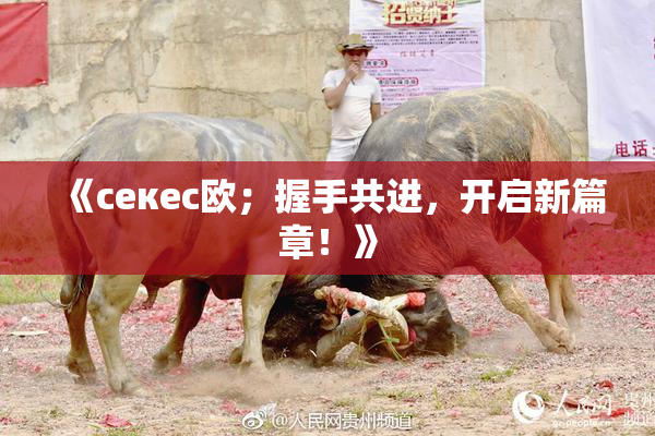 《ceкес欧；握手共进，开启新篇章！》