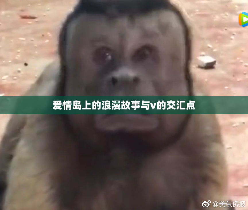 爱情岛上的浪漫故事与v的交汇点