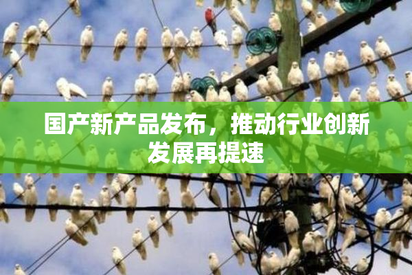 国产新产品发布，推动行业创新发展再提速